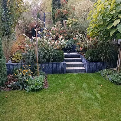 Piotr Ogrody Piotr Musiał